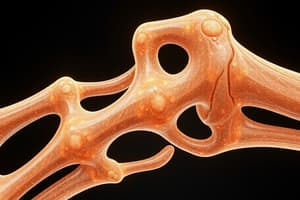 Bone Healing and Fracture Repair Quiz