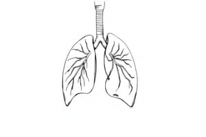 Patofisiologia dell'ARDS e Ventilazione Meccanica (Fisiologia 42)