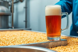 Malt Production and Brewing Process