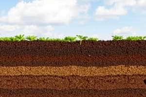 Soil Profile Terminology Quiz