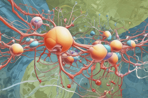 Amino Acid Metabolism: Biosynthesis of NEAA and Specialized Products (Medium)