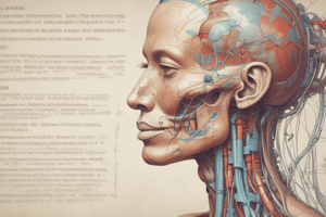 Nursing Fundamentals: Oxygenation Basic Concepts