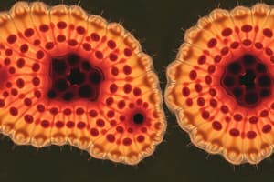 Biology: Unicellular Organisms & Cells