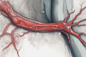 Post-Operative Complications: Deep Vein Thrombosis