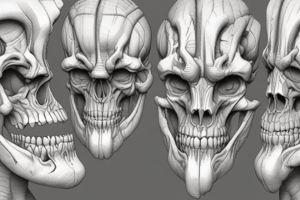 Classification of Jaw Ridge Forms and Joints Quiz