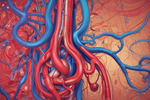 Renal Blood Supply Pathway Quiz