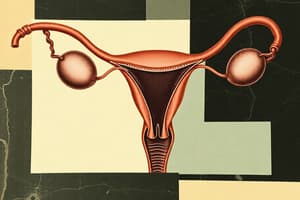 Female Genital Tract and Ovaries Overview