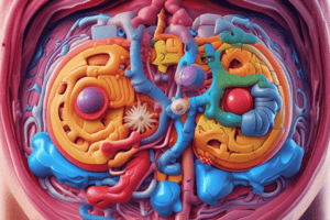 Central Diabetes Insipidus - Clinical Features and Diagnosis