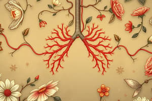 Biology Chapter: Aerobic Respiration