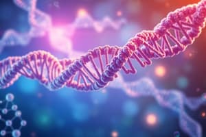 DNA Replication Process