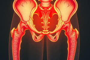 Hip Fractures: Intracapsular and Subtrochanteric