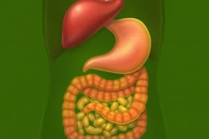 Bile and Biliary Secretion Quiz