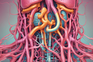 Digestive System Nervous Supply Overview