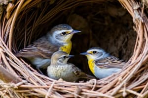 Bird Life History and Nests