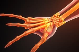 Wrist Biomechanics and Joint Function