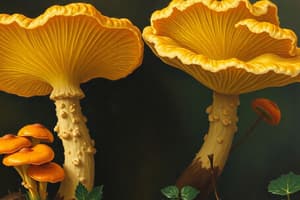 Mycology Overview and Its Importance