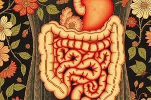 Digestive System Quiz