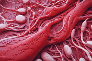 Hemostasis and Thrombosis Process Quiz