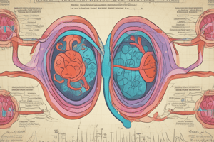 Assessing Renal Function Quiz