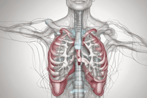 Y1S1 012 III Physiology Respiratory System Pressures