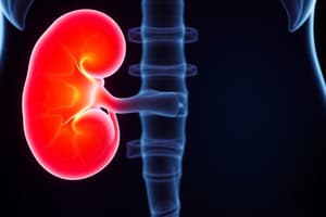 Nephrolithiasis & Pyelonephritis