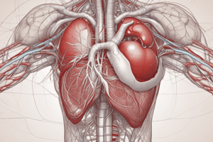 Sheet 5 Physiology