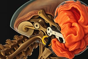 TBI Med/Legal: Biomechanics in Car Crashes