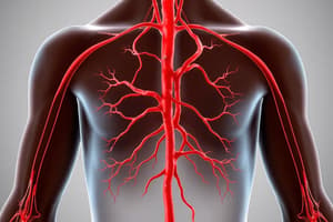 Arteries, Veins, and Lymphatic Systems