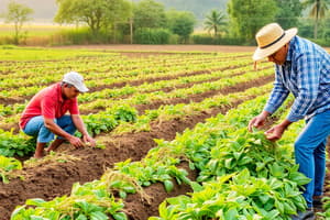 Prehistoric & Modern Agriculture