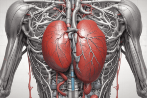 Anatomía y Fisiología del Sistema Cardio-Circulatorio