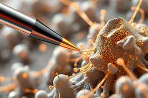 Optical Probes and Atomic Force Microscopy