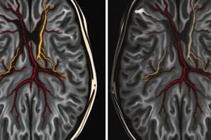 Medullary Osteonecrosis Quiz