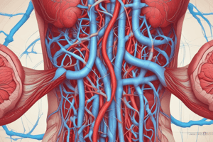 Circulatory System