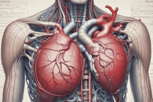 Anatomy of the Heart Atria