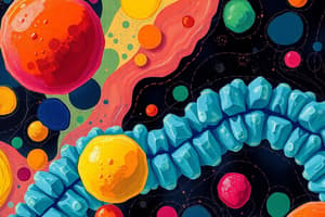 Chylomicron Transport and Abetalipoproteinemia