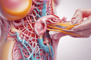 Endometriosis and Ultrasounds: Patient Case Study