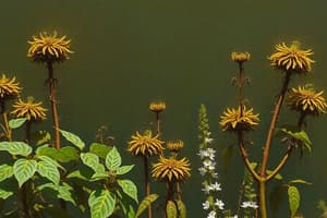 Botánica: Plantas sin Semilla y Adaptación Terrestre