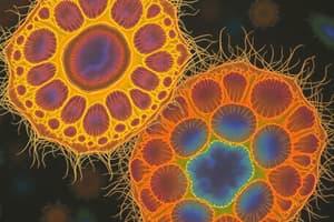 Prokaryotic vs. Eukaryotic Cells