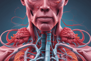 Respiratory System: Organs and Structures