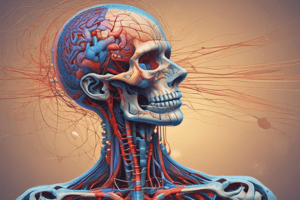 Pain Modulation Pathway