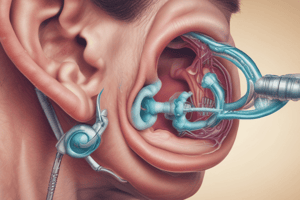 Otoscopy Exam