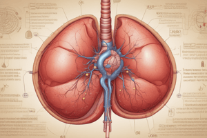 Hepatic