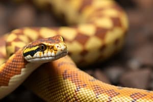 Scaly Beasts: Venomous Snakes