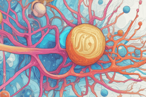 Cell Environment and Concentration