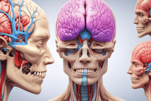 Cranial Nerves Quiz