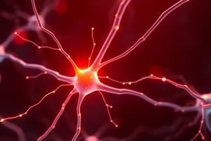 Nerve Impulses and Synaptic Transmission