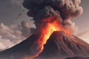 Volcanic Eruptions and Aerosol Index