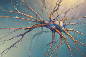 Neuroscience: Axo-Dendritic Synapse