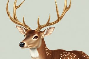 White-tailed Deer Bio facts