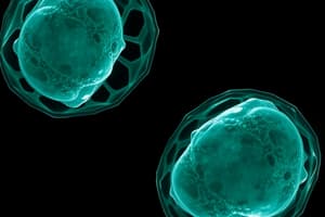 Biology: Reproduction and Meiosis Concepts